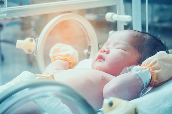 Premature baby in an incubator